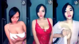 Toge Mangolive: Cantiknya Bunga Matahari Yang Menggoda