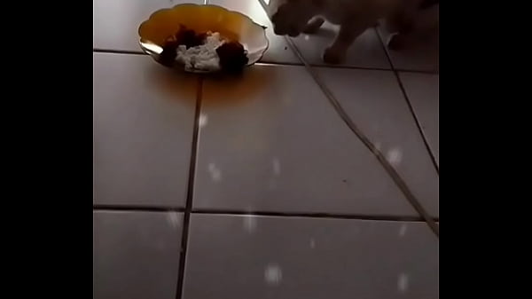 Anita, Si Binal Yang Bikin Nafsu Naik.
