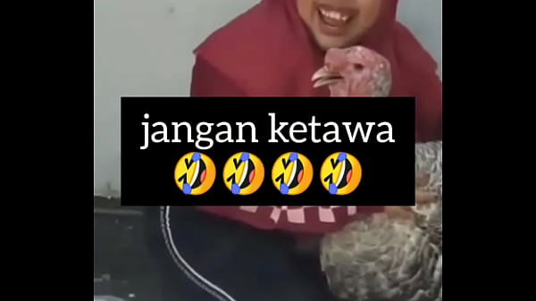 Gadis Montok Tergoda, Tawa Basah Penuh Birahi